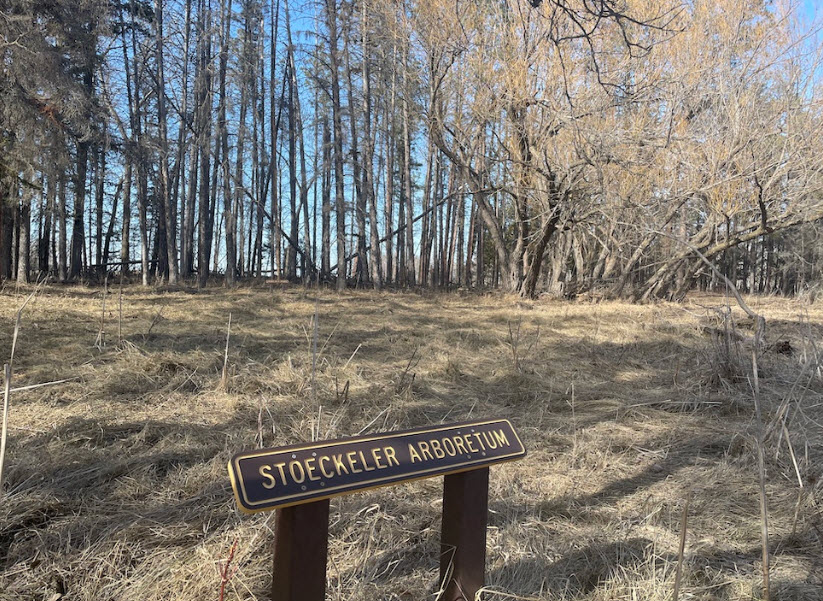 Denbigh Experimental Forest, United States
